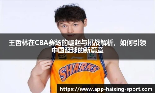 王哲林在CBA赛场的崛起与挑战解析，如何引领中国篮球的新篇章