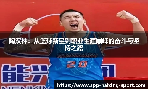 陶汉林：从篮球新星到职业生涯巅峰的奋斗与坚持之路